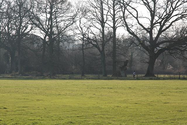 img_6422.jpg