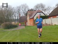 IMG 0299